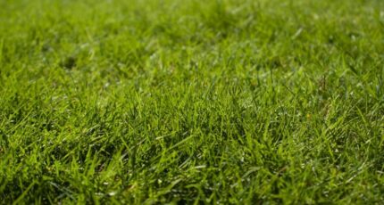 Moyaux Terrain à bâtir - 2319835-11227annonce120251028rtxQs.jpeg Maisons Open