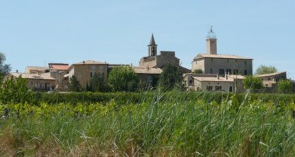 Saint-Alexandre Terrain à bâtir - 2321346-3418annonce320240226VCt0y.jpeg Maisons Open