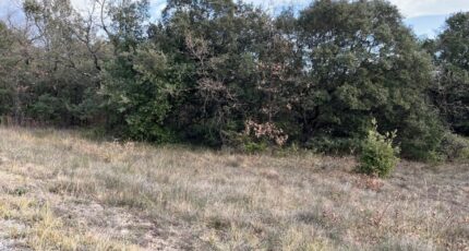 Grignan Terrain à bâtir - 2279267-812annonce120250131bxkS8.jpeg Maisons Open