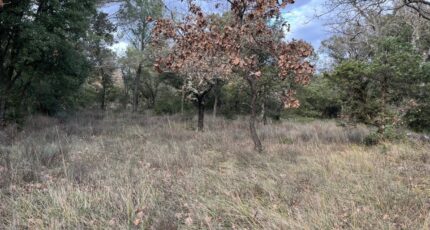Grignan Terrain à bâtir - 2279267-812annonce320250131iTK1T.jpeg Maisons Open