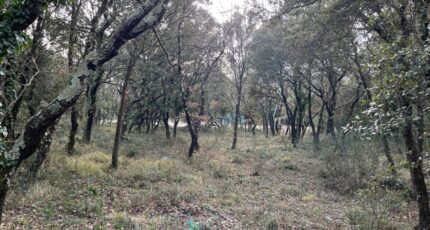 Grignan Terrain à bâtir - 2279267-812annonce4202501317V7Q3.jpeg Maisons Open