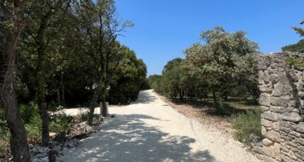 Saint-Restitut Terrain à bâtir - 2279269-812annonce3202412200yhtd.jpeg Maisons Open