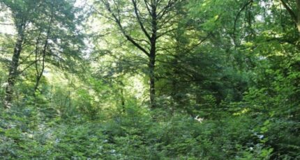 Aubevoye Terrain à bâtir - 2326183-10332annonce120251103AIBa8.jpeg Maisons Open