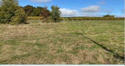 La Réole Terrain à bâtir - 2327803-1086annonce120251104PdMyT.jpeg Maisons Open