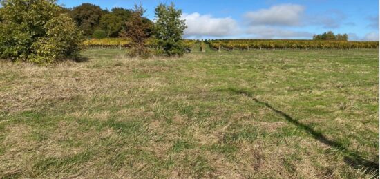 Terrain à bâtir à , Gironde