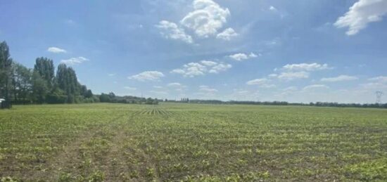 Terrain à bâtir à Auby, Hauts-de-France
