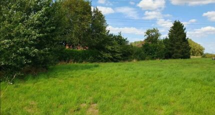 Petite-Forêt Terrain à bâtir - 2328140-11632annonce120251104aBu2d.jpeg Maisons Open