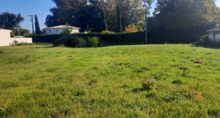 Le Bouscat Terrain à bâtir - 2328525-11151annonce120251105dhm4p.jpeg Maisons Open