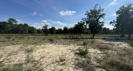 Vensac Terrain à bâtir - 2283812-10624annonce220250925cyBEK.jpeg Maisons Open