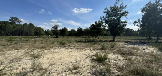 Terrain à bâtir à , Gironde