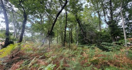 Grayan-et-l'Hôpital Terrain à bâtir - 2328527-10624annonce220250910gU9q6.jpeg Maisons Open