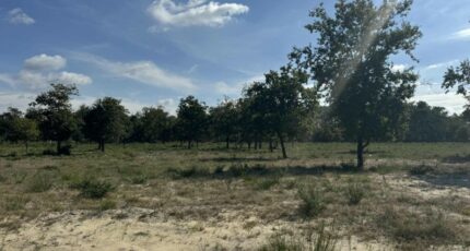 Vensac Terrain à bâtir - 2283797-10624annonce120250925288DD.jpeg Maisons Open