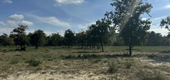 Terrain à bâtir à Vensac, Nouvelle-Aquitaine