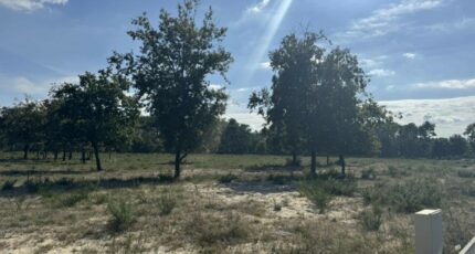 Vensac Terrain à bâtir - 2283797-10624annonce220250925dkwyX.jpeg Maisons Open