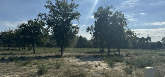 Terrain à bâtir à , Gironde