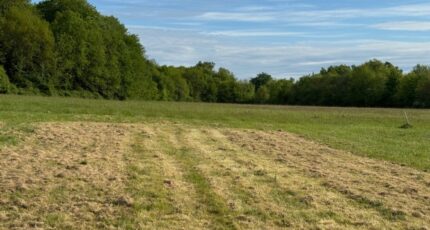 Saint-Germain-d'Esteuil Terrain à bâtir - 2328540-10624annonce1202506175OWOL.jpeg Maisons Open