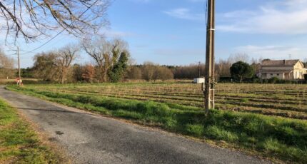 Générac Terrain à bâtir - 2329075-1090annonce1202511053HZUI.jpeg Maisons Open