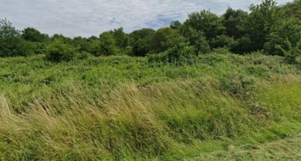 Saint-Savin Terrain à bâtir - 2294626-11516annonce120251005HbPrG.jpeg Maisons Open