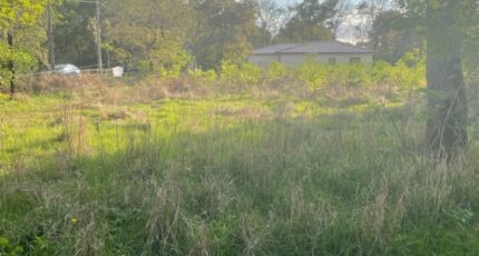 Le Barp Terrain à bâtir - 2288067-11016annonce220250930XolCu.jpeg Maisons Open