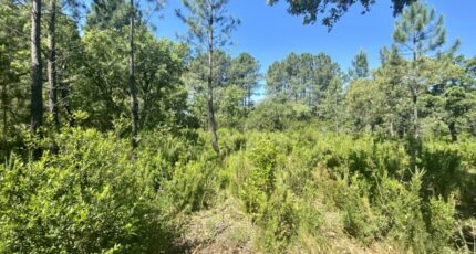 Le Barp Terrain à bâtir - 2330386-11071annonce1202511060BILT.jpeg Maisons Open