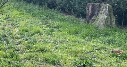 Blanquefort Terrain à bâtir - 2330275-11016annonce1202511060dpvR.jpeg Maisons Open