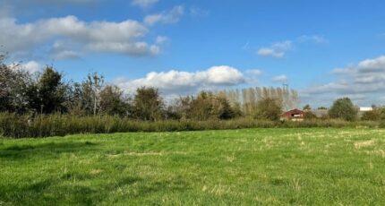 Camphin-en-Pévèle Terrain à bâtir - 2330931-11655annonce1202511065tLyQ.jpeg Maisons Open