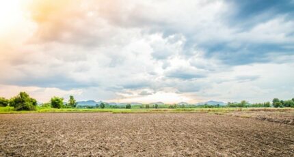 Chinon Terrain à bâtir - 2288267-9897annonce12025033123wHd.jpeg Maisons Open