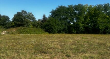 Lapouyade Terrain à bâtir - 2290714-10947annonce1202510025GKPP.jpeg Maisons Open