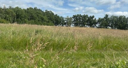 Arveyres Terrain à bâtir - 2331747-10947annonce120250313iCaex.jpeg Maisons Open