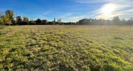 Grignols Terrain à bâtir - 2331787-9573annonce1202511077X51Q.jpeg Maisons Open