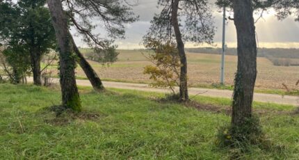 Escassefort Terrain à bâtir - 2332124-9795annonce120250422xKSEo.jpeg Maisons Open