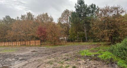 Le Taillan-Médoc Terrain à bâtir - 2332314-1093annonce1202511073kVN7.jpeg Maisons Open