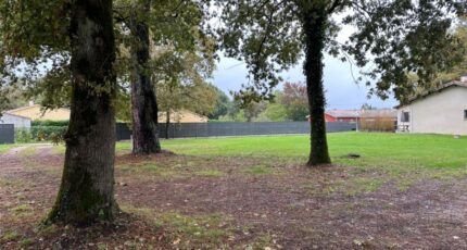 Sanguinet Terrain à bâtir - 2332367-11151annonce120251107Ftnxk.jpeg Maisons Open