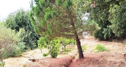 Collobrières Terrain à bâtir - 2264708-11079annonce120250908bpOTB.jpeg Maisons Open