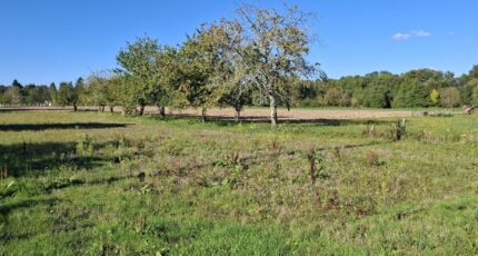 Saint-Philippe-du-Seignal Terrain à bâtir - 2287616-11103annonce220250930lQTfr.jpeg Maisons Open