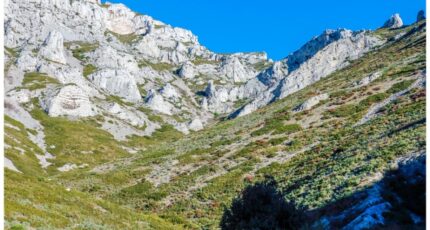 Marseille 9 Terrain à bâtir - 2300410-7054annonce120251009MvL4K.jpeg Maisons Open