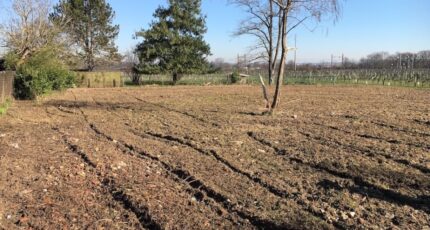 Castres-Gironde Terrain à bâtir - 2333097-1804annonce120251109Grkmm.jpeg Maisons Open