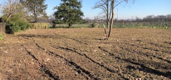 Terrain à bâtir à Castres-Gironde, Nouvelle-Aquitaine