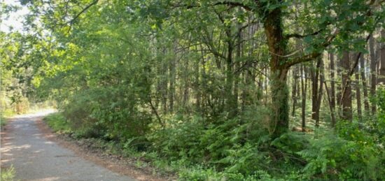 Terrain à bâtir à Sanguinet, Nouvelle-Aquitaine