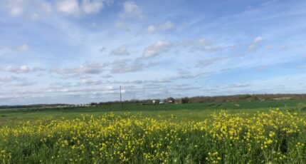 Bourgneuf Terrain à bâtir - 2333297-9644annonce1202511100duWr.jpeg Maisons Open