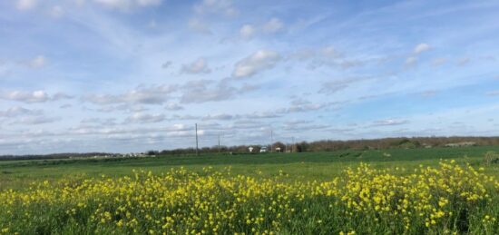 Terrain à bâtir à Bourgneuf, Nouvelle-Aquitaine