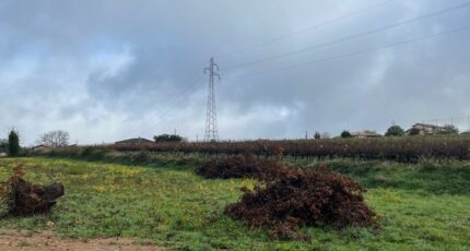 Cunac Terrain à bâtir - 2332394-2684annonce120251107MaIBN.jpeg Maisons Open