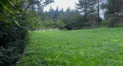 Libourne Terrain à bâtir - 2333413-10947annonce120250523ZJ31w.jpeg Maisons Open