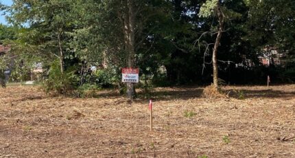 Mimizan Terrain à bâtir - 2334599-10331annonce120241021l6hJe.jpeg Maisons Open