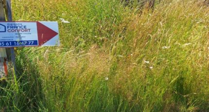 Fontenilles Terrain à bâtir - 2300714-9555annonce220251010yvQtt.jpeg Maisons Open