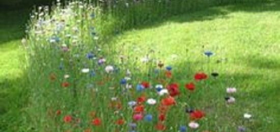 Terrain à bâtir à Azay-le-Rideau, Centre-Val de Loire