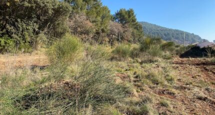 Puget-Ville Terrain à bâtir - 2264435-5622annonce120250908GgAod.jpeg Maisons Open