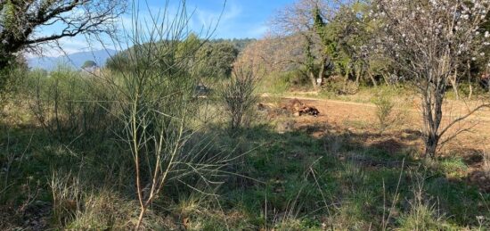 Terrain à bâtir à , Var