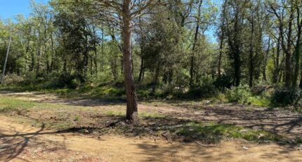 Méounes-lès-Montrieux Terrain à bâtir - 2266344-5622annonce120250910GGdLc.jpeg Maisons Open