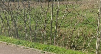 Rosny-sur-Seine Terrain à bâtir - 2333668-11643annonce420251110g9Zx1.jpeg Maisons Open